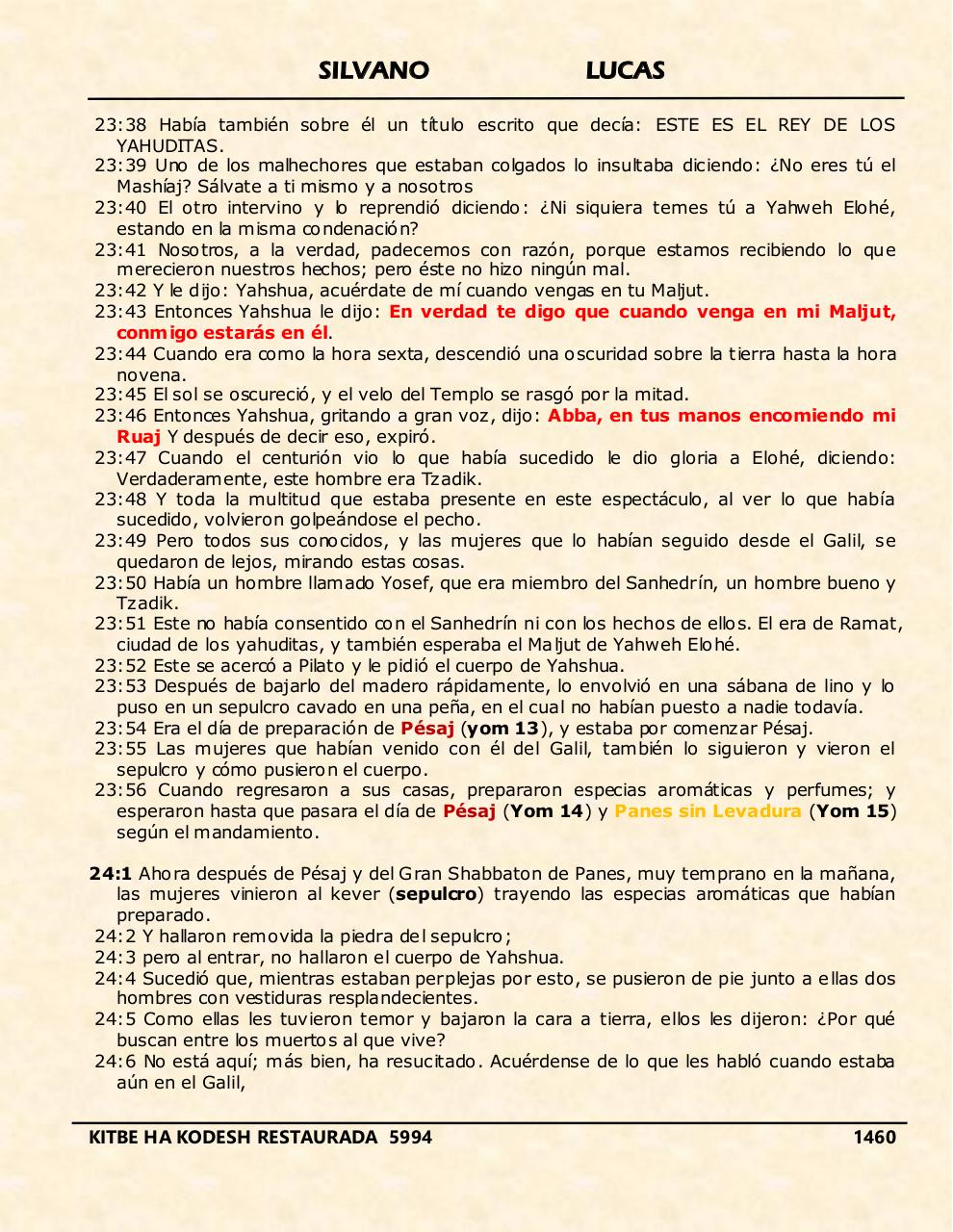 Vista previa del archivo PDF shilas.pdf