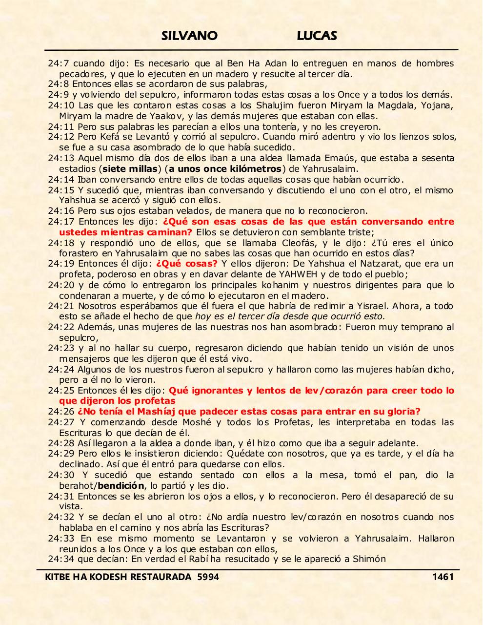 Vista previa del archivo PDF shilas.pdf