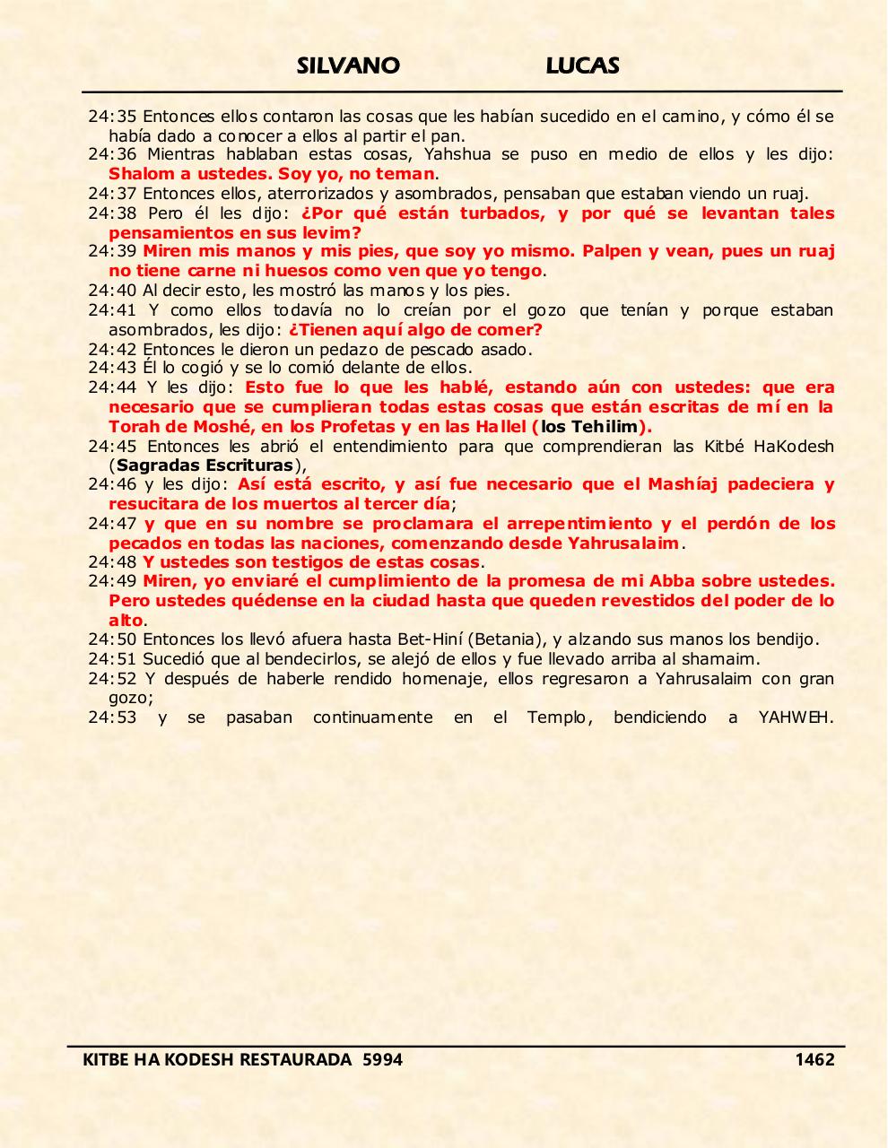 Vista previa del archivo PDF shilas.pdf