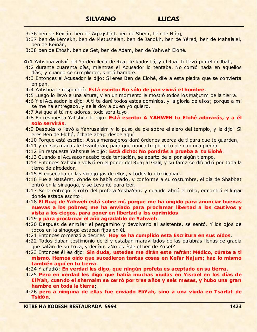 Vista previa del archivo PDF shilas.pdf