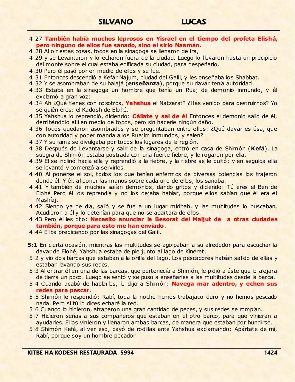 Vista previa del archivo PDF shilas.pdf