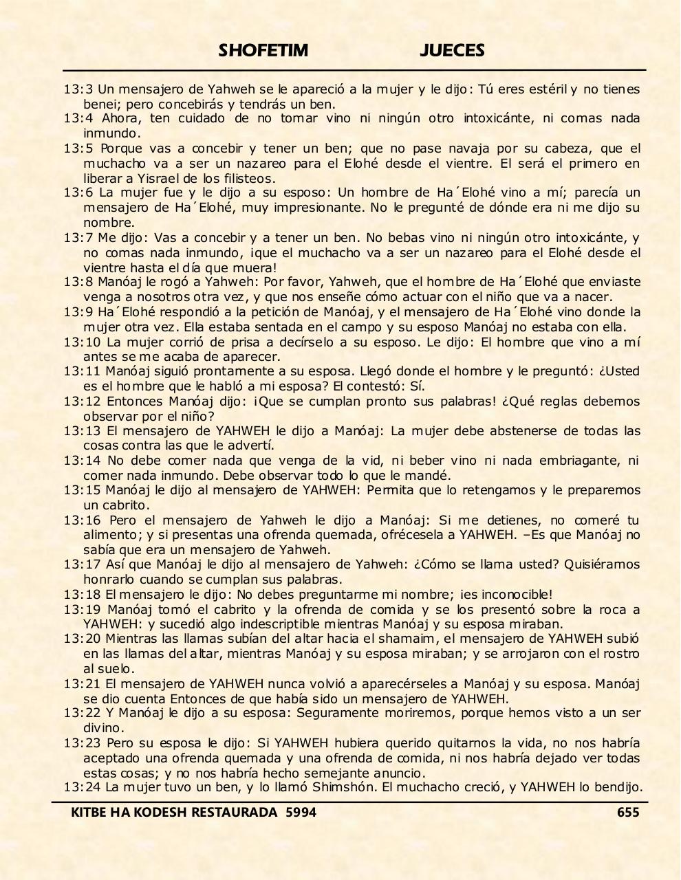 Vista previa del archivo PDF shofetim.pdf