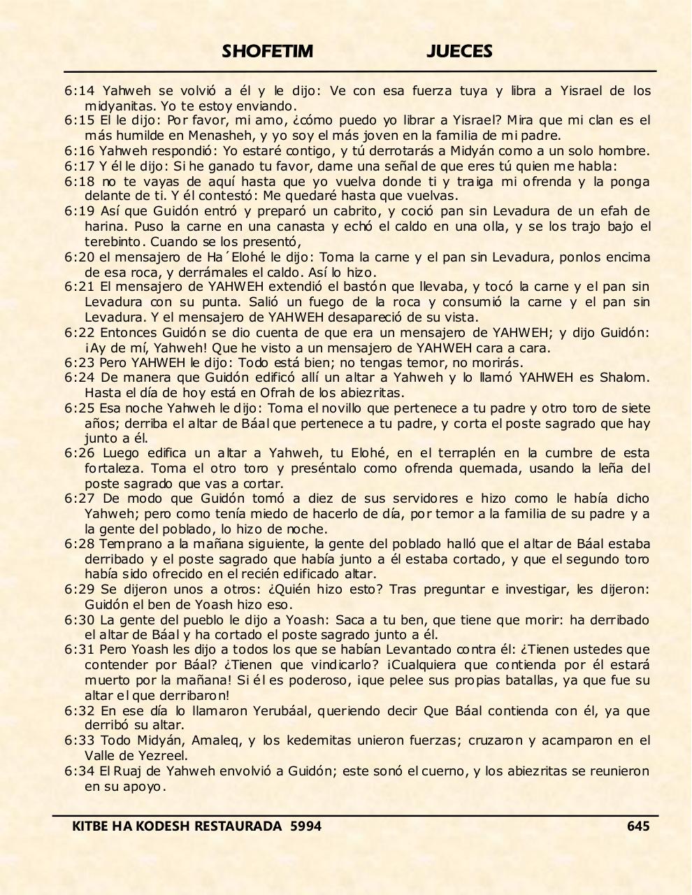 Vista previa del archivo PDF shofetim.pdf