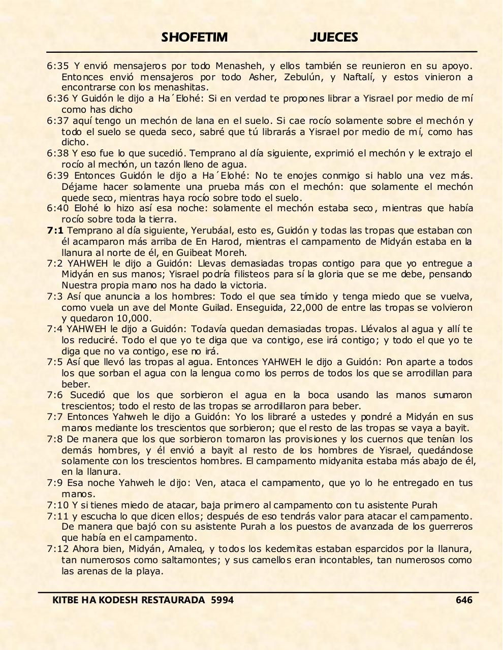 Vista previa del archivo PDF shofetim.pdf