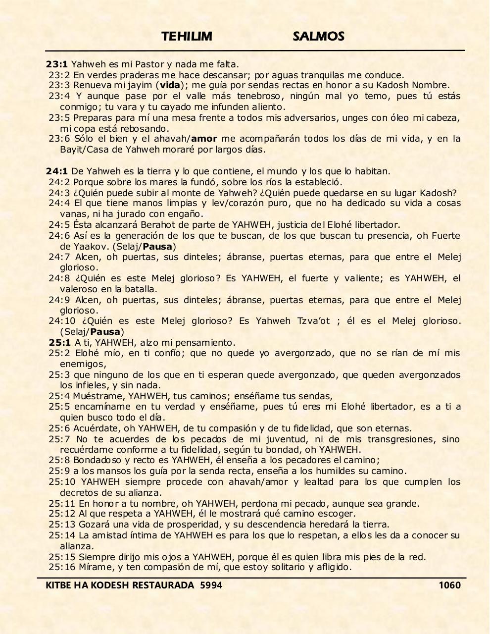 Vista previa del archivo PDF tehelim.pdf
