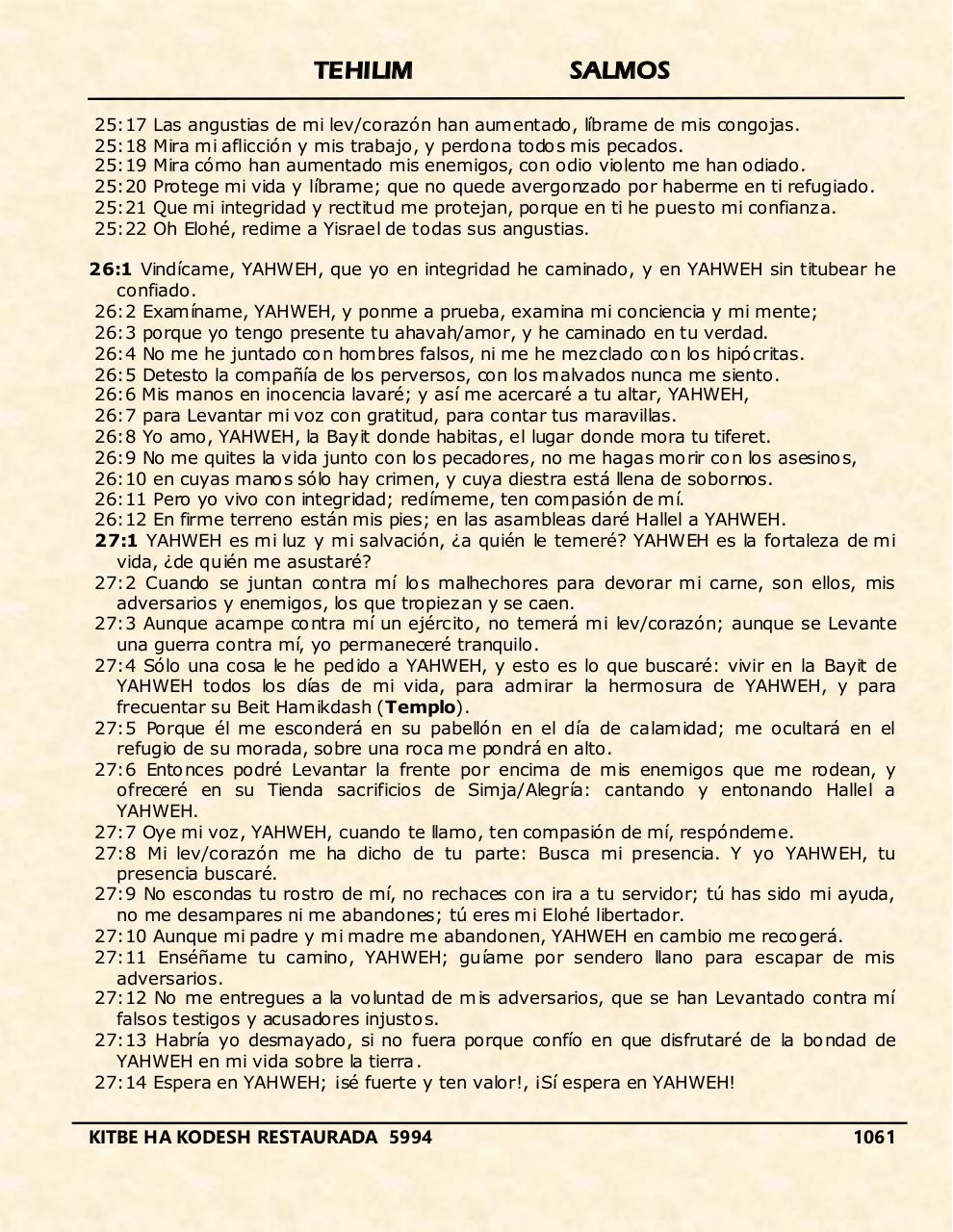 Vista previa del archivo PDF tehelim.pdf