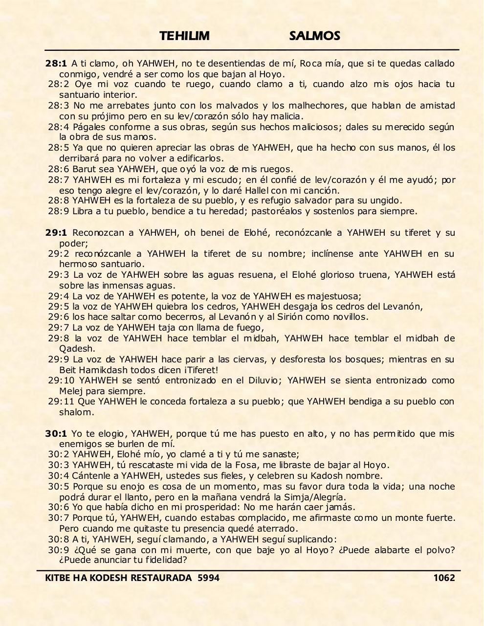 Vista previa del archivo PDF tehelim.pdf