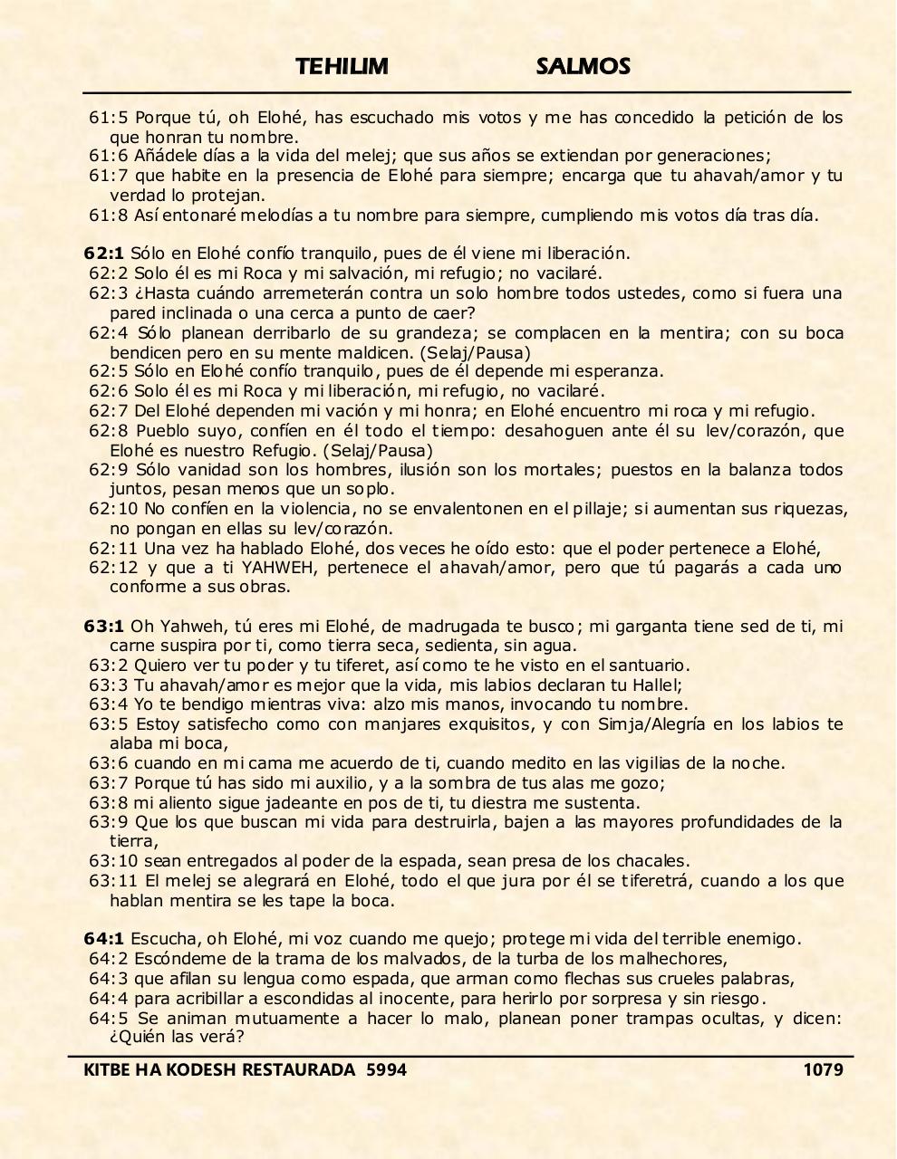 Vista previa del archivo PDF tehelim.pdf