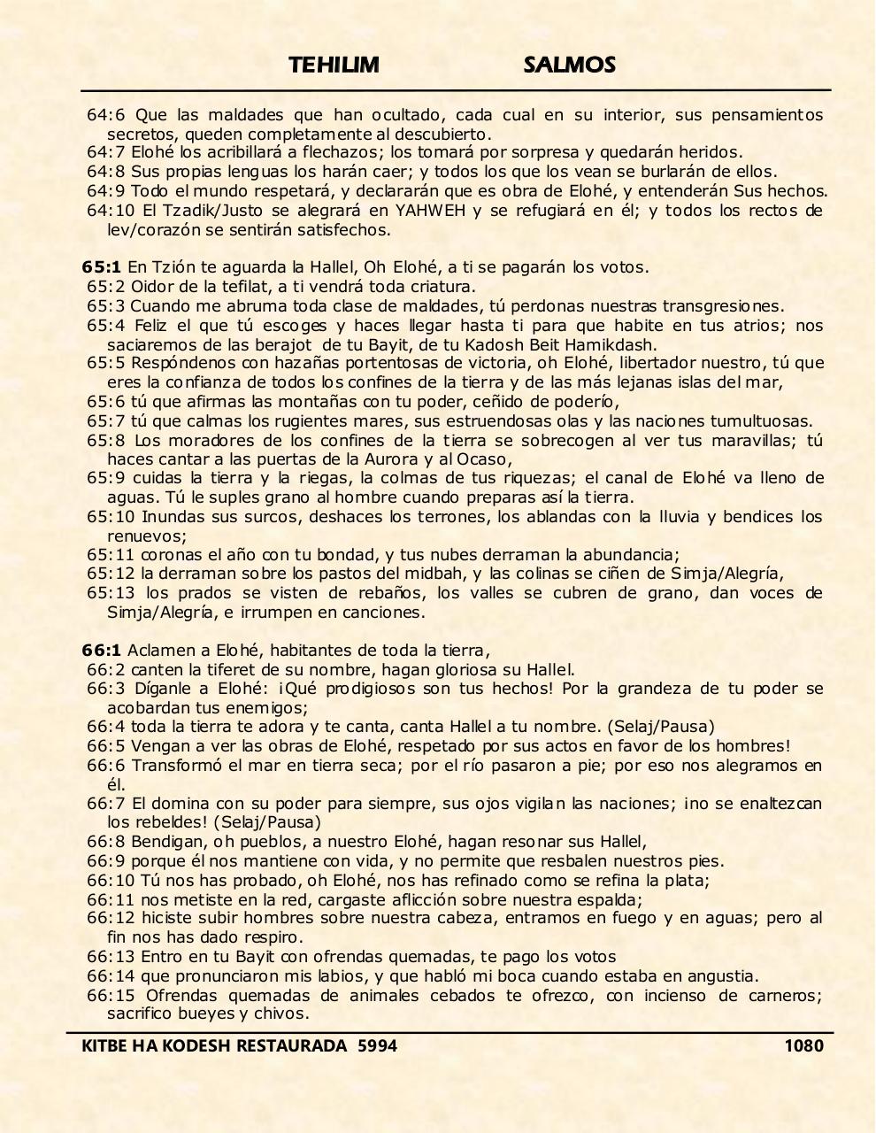 Vista previa del archivo PDF tehelim.pdf