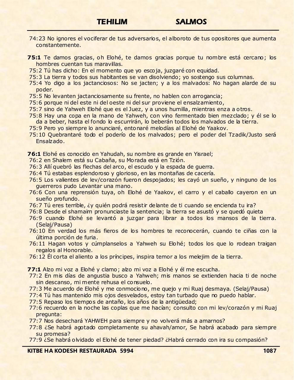 Vista previa del archivo PDF tehelim.pdf