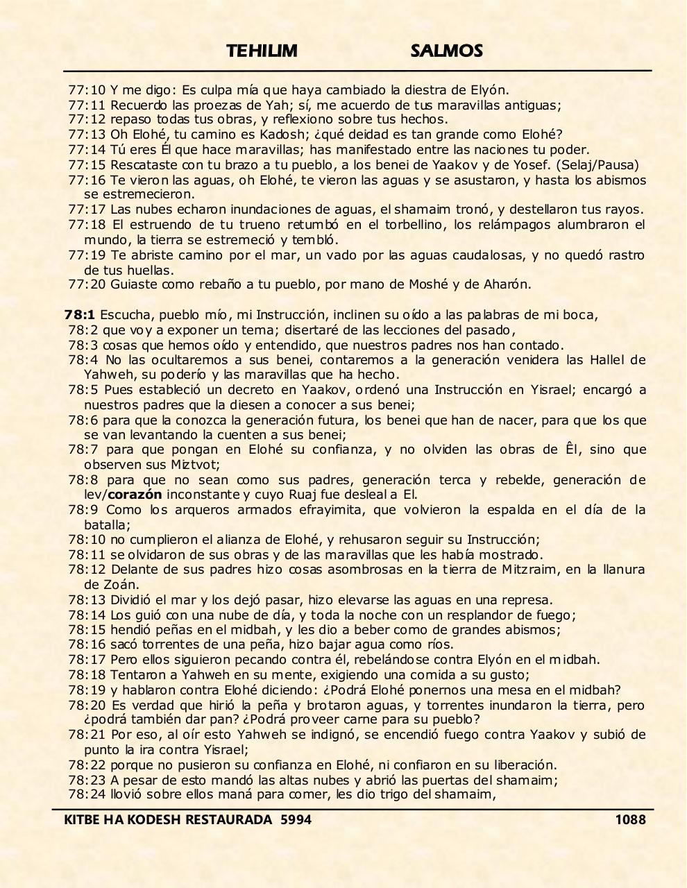 Vista previa del archivo PDF tehelim.pdf