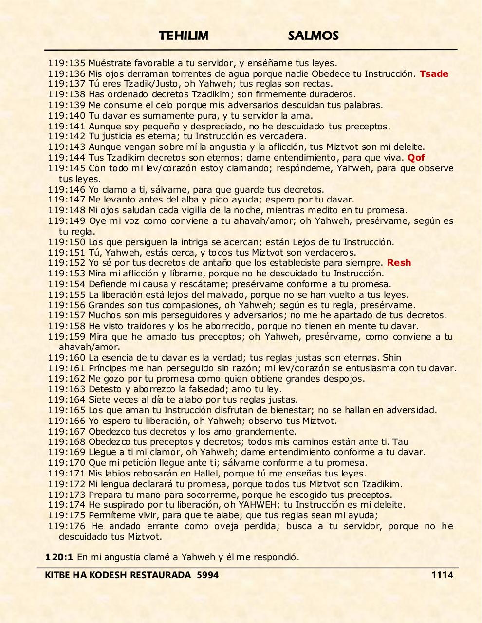 Vista previa del archivo PDF tehelim.pdf