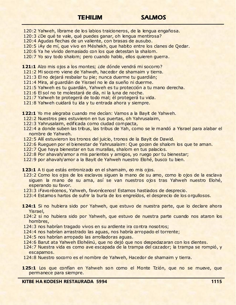 Vista previa del archivo PDF tehelim.pdf