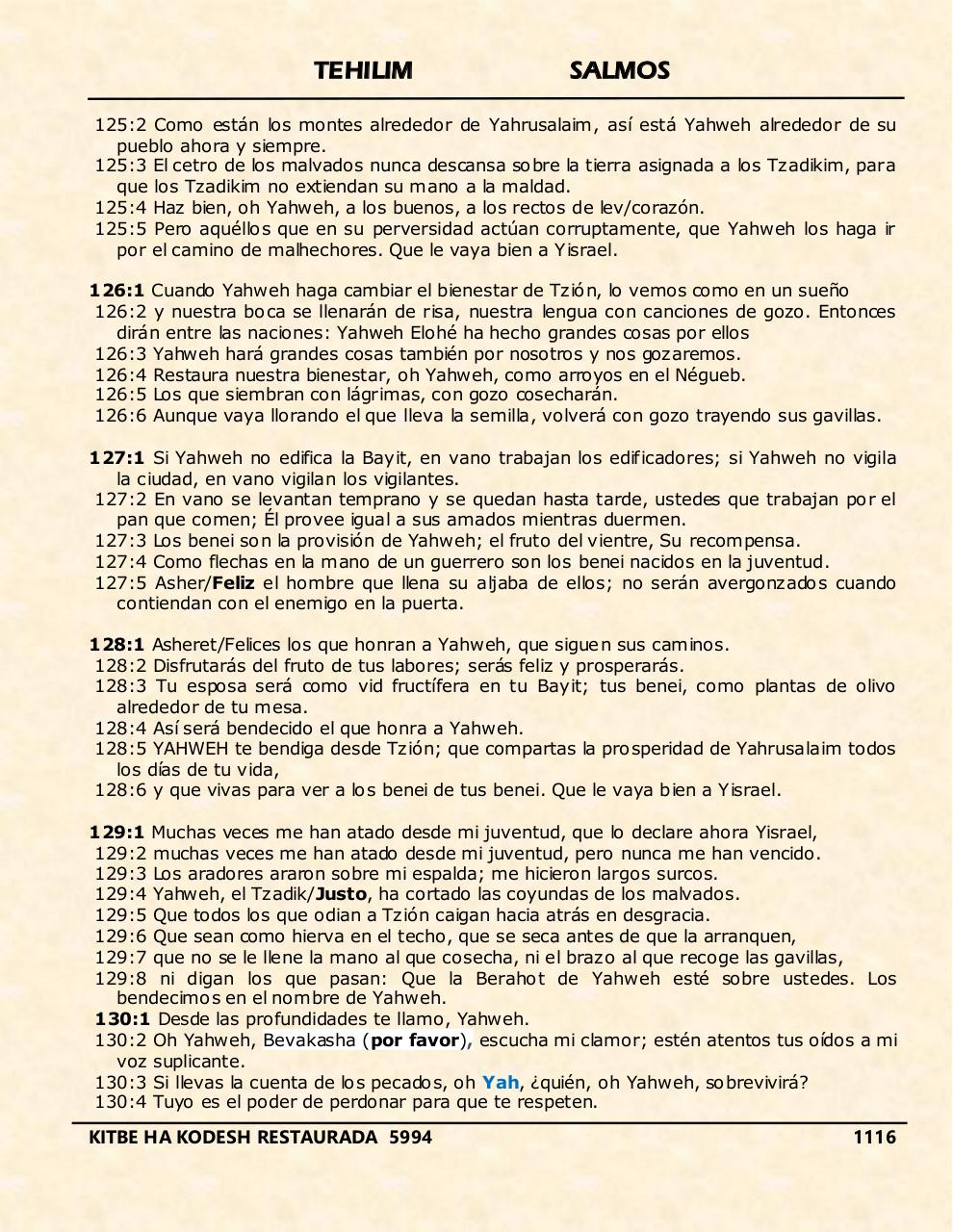 Vista previa del archivo PDF tehelim.pdf