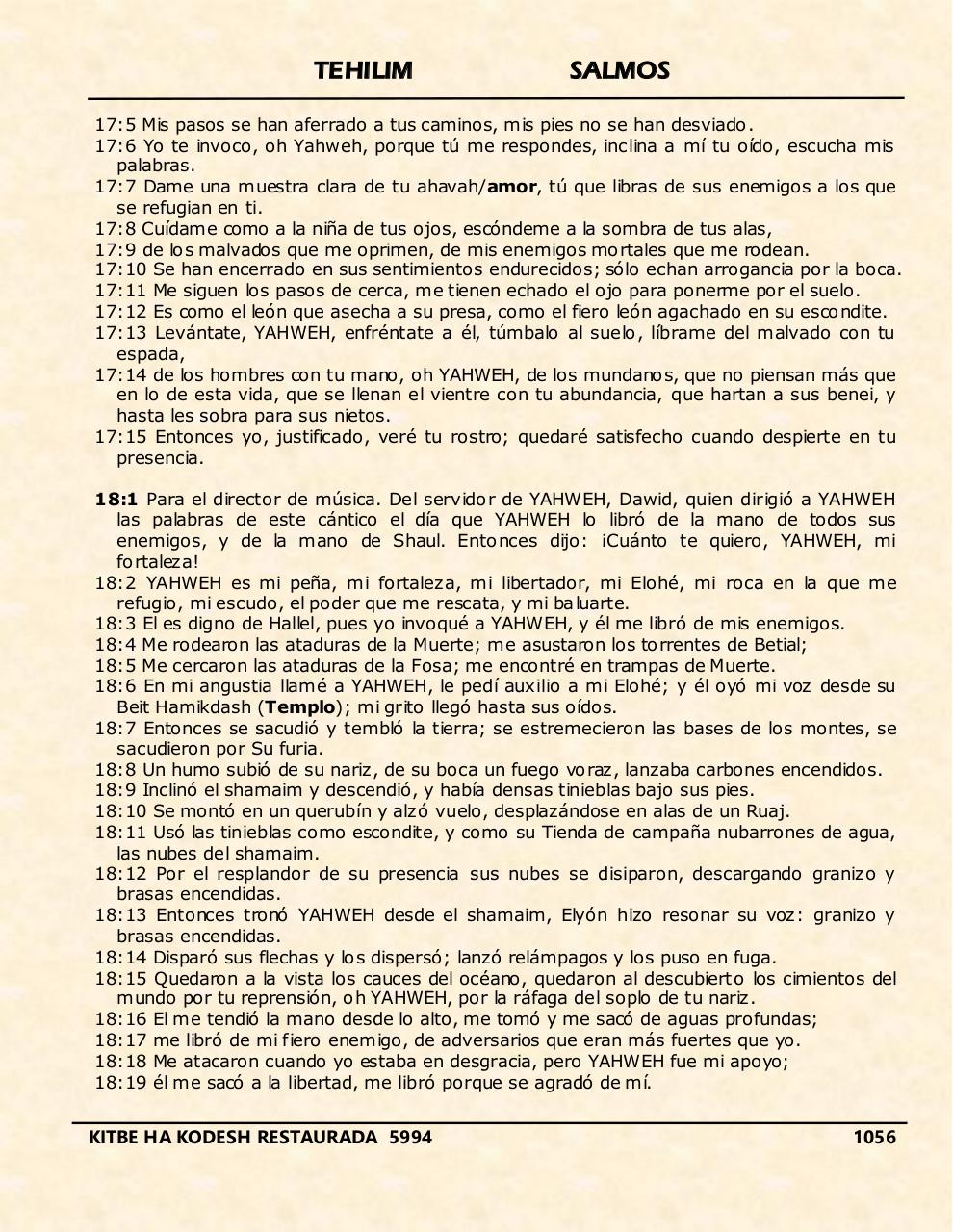 Vista previa del archivo PDF tehelim.pdf
