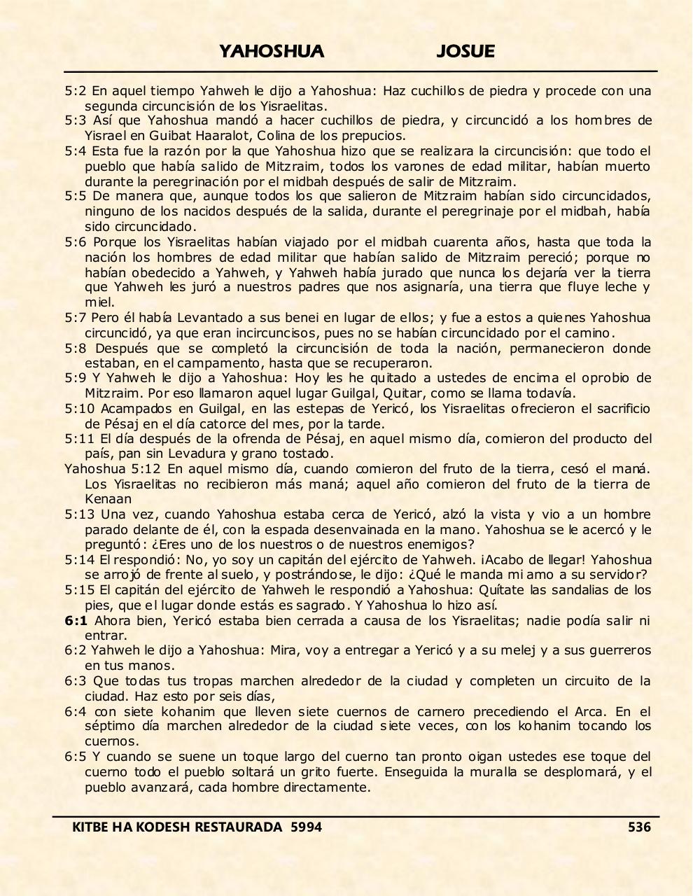 Vista previa del archivo PDF yahoshua.pdf