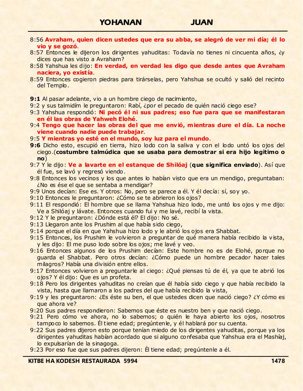 Vista previa del archivo PDF yohanan.pdf