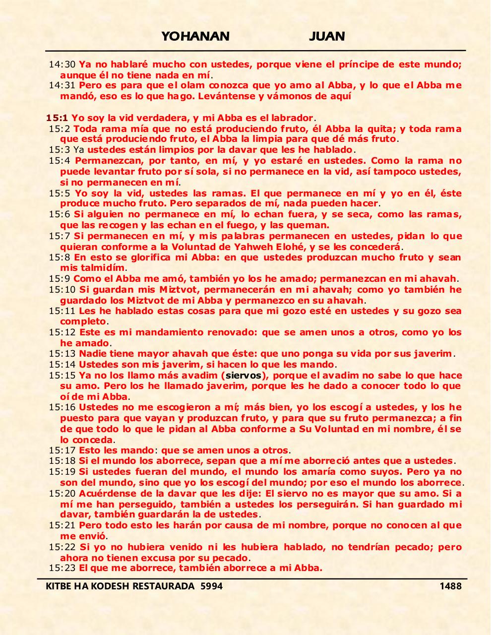 Vista previa del archivo PDF yohanan.pdf