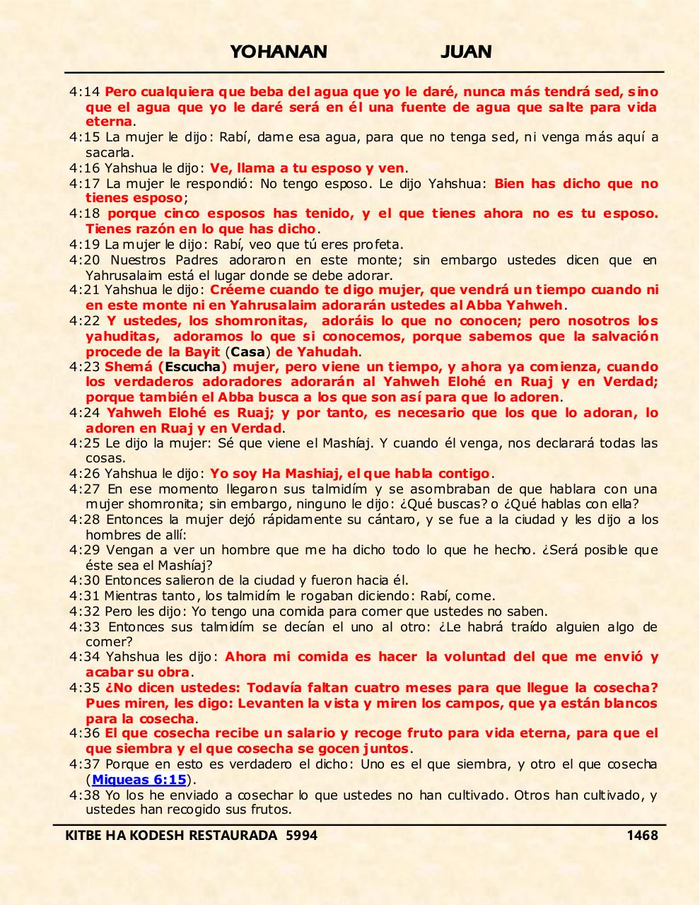 Vista previa del archivo PDF yohanan.pdf