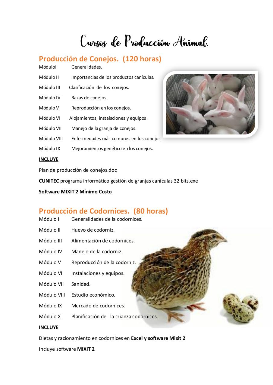 Vista previa del archivo PDF untitled-pdf-document.pdf