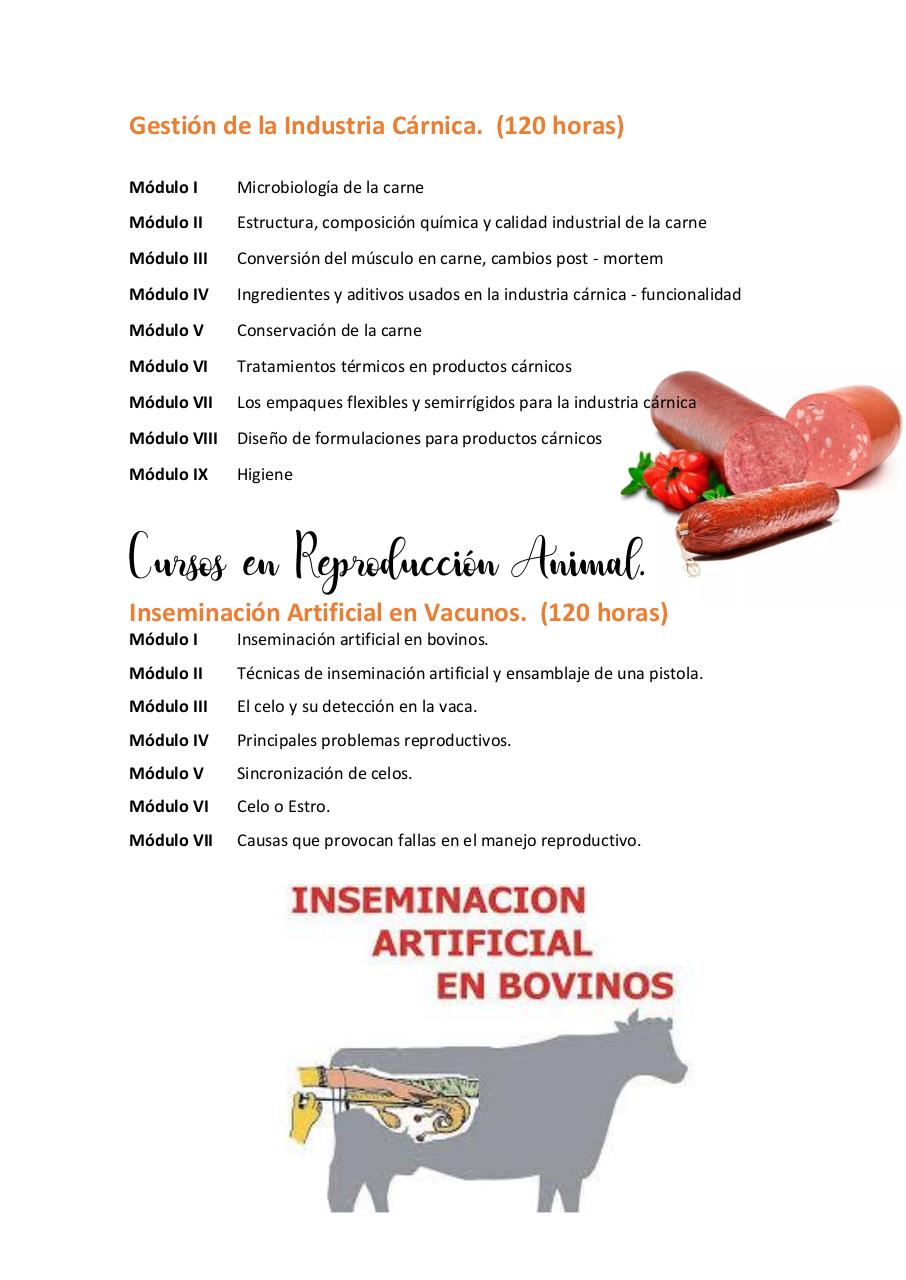 Vista previa del archivo PDF untitled-pdf-document.pdf