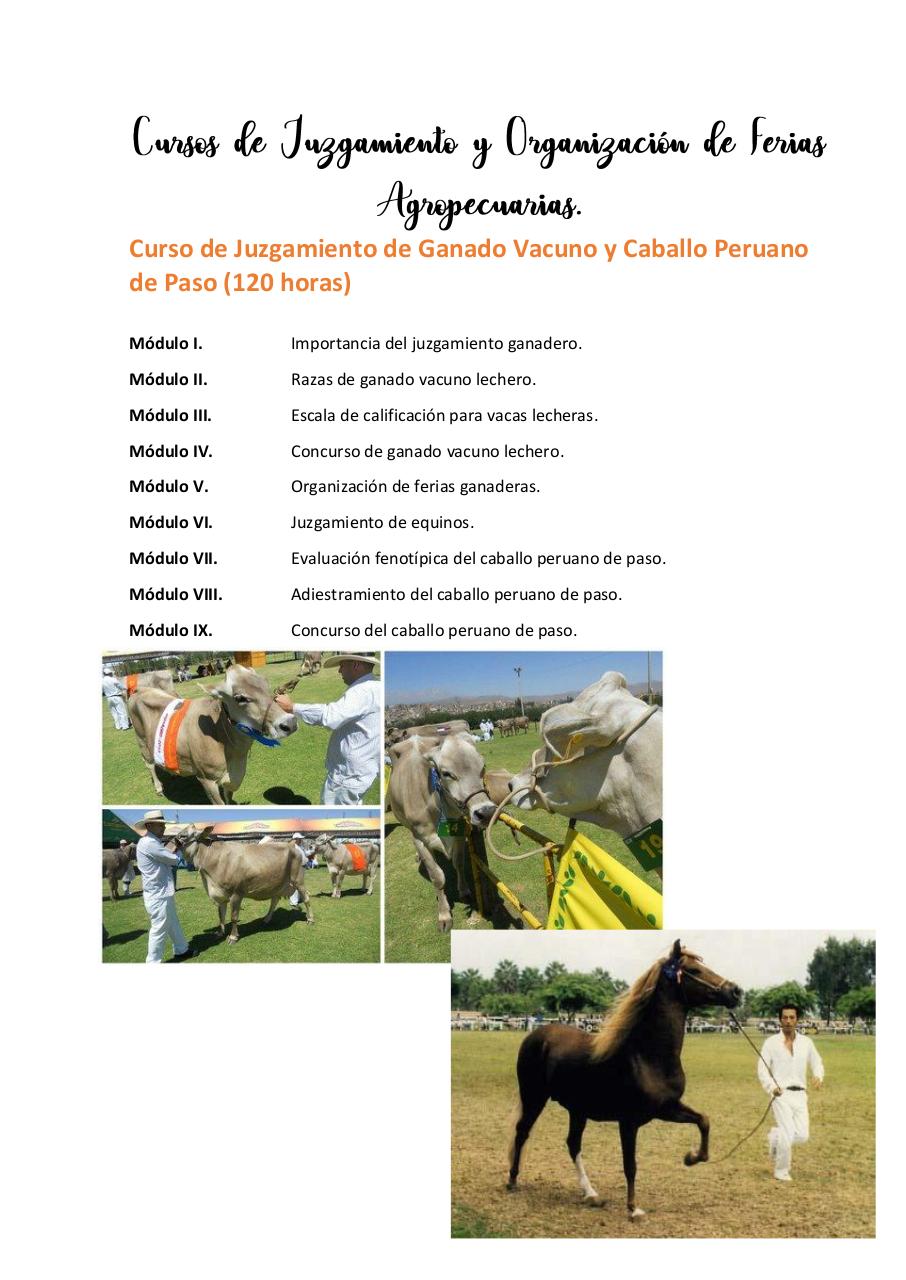 Vista previa del archivo PDF untitled-pdf-document.pdf