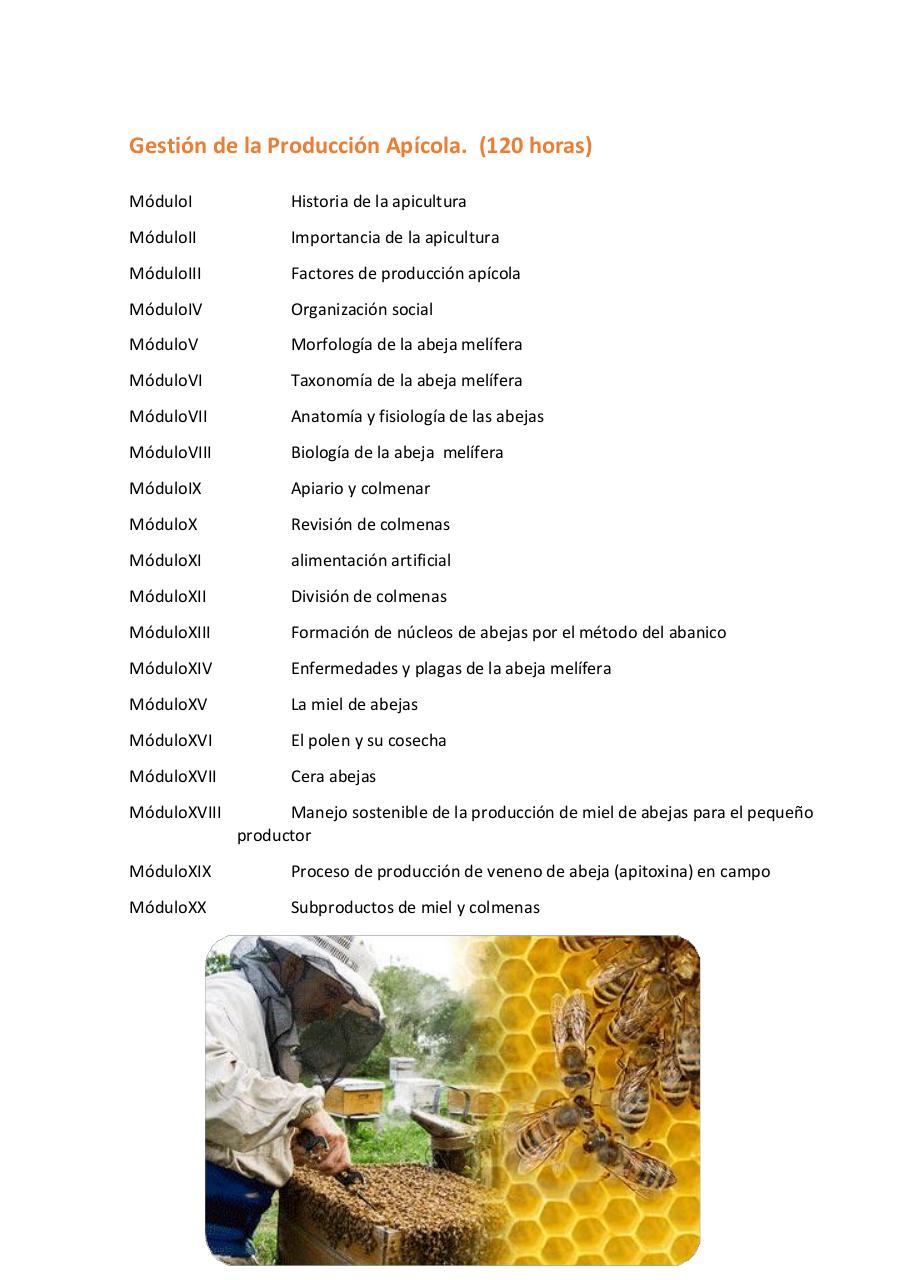 Vista previa del archivo PDF untitled-pdf-document.pdf