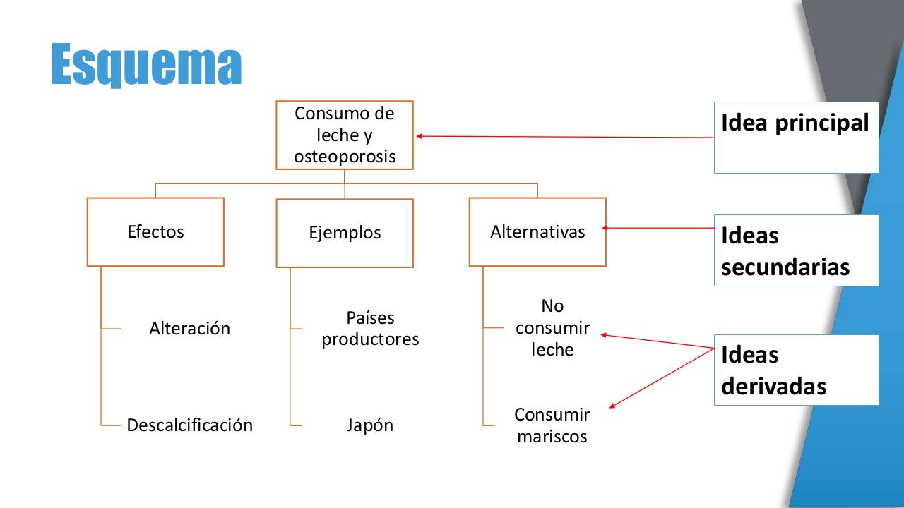 Vista previa del archivo PDF lectura-academica-.pdf