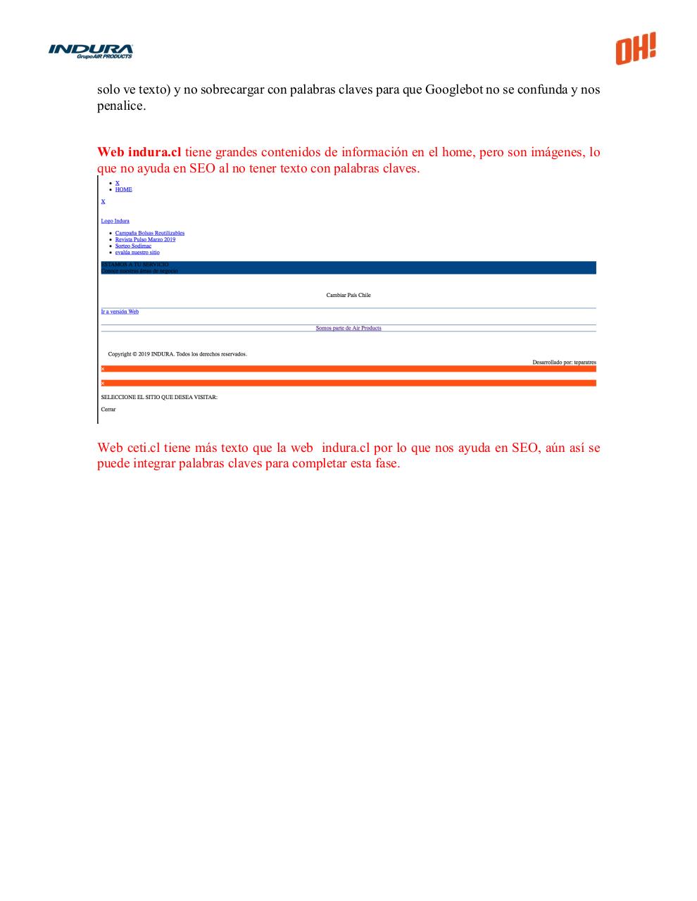 Vista previa del archivo PDF analisis-seo-indura-.pdf