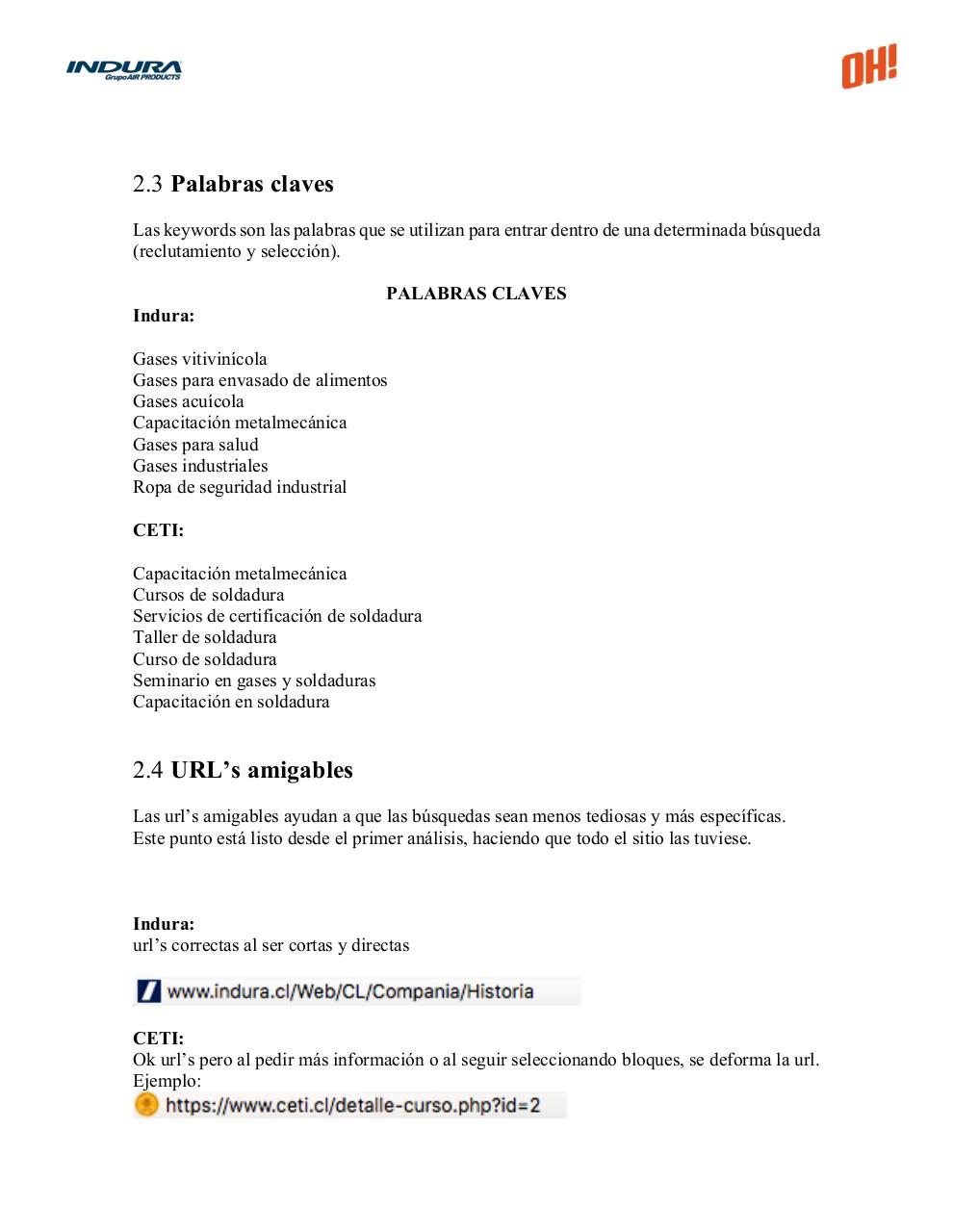 Vista previa del archivo PDF analisis-seo-indura-.pdf