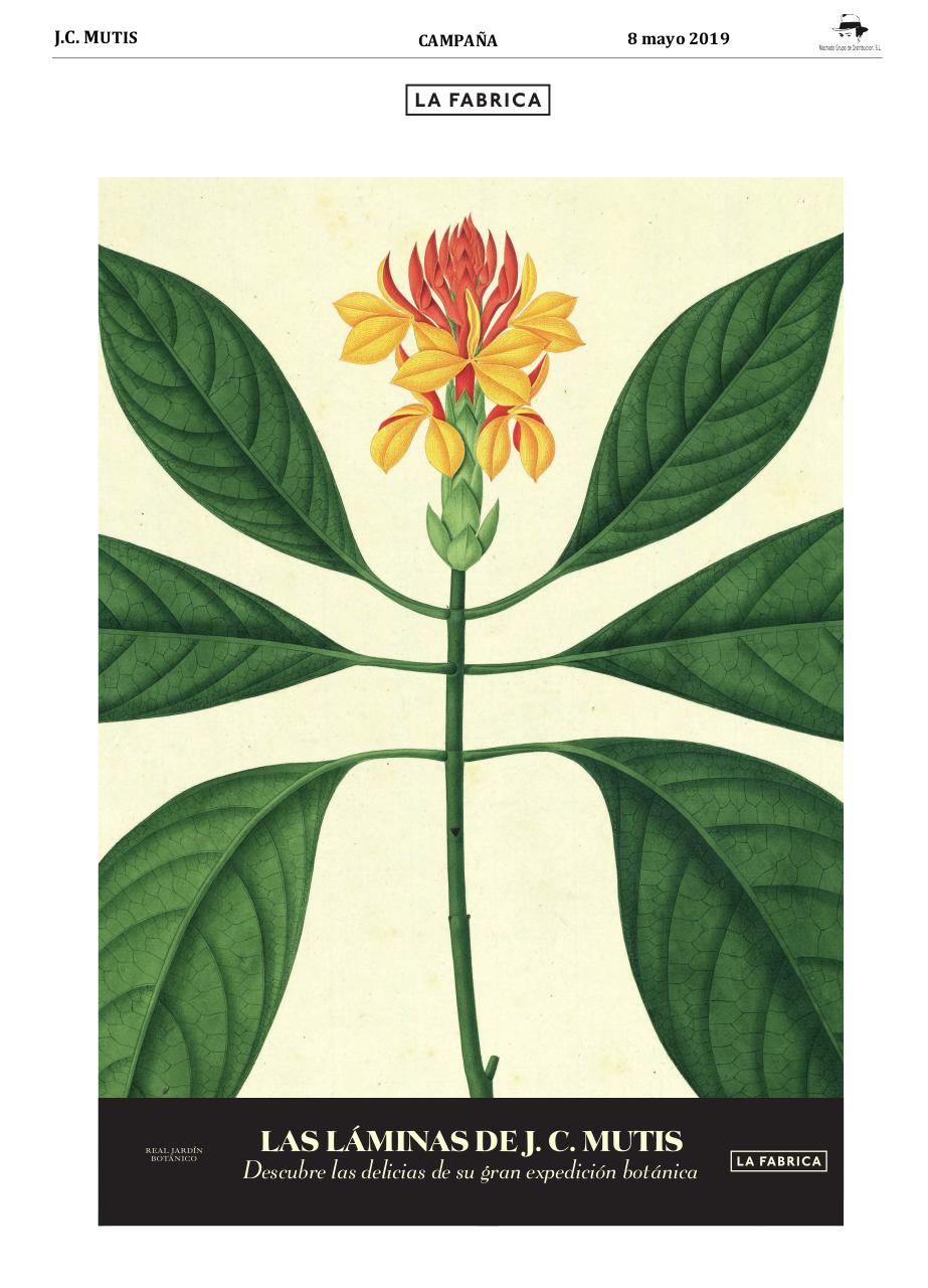 Vista previa del archivo PDF machado-boletin-novedades-8-5-19-zc.pdf