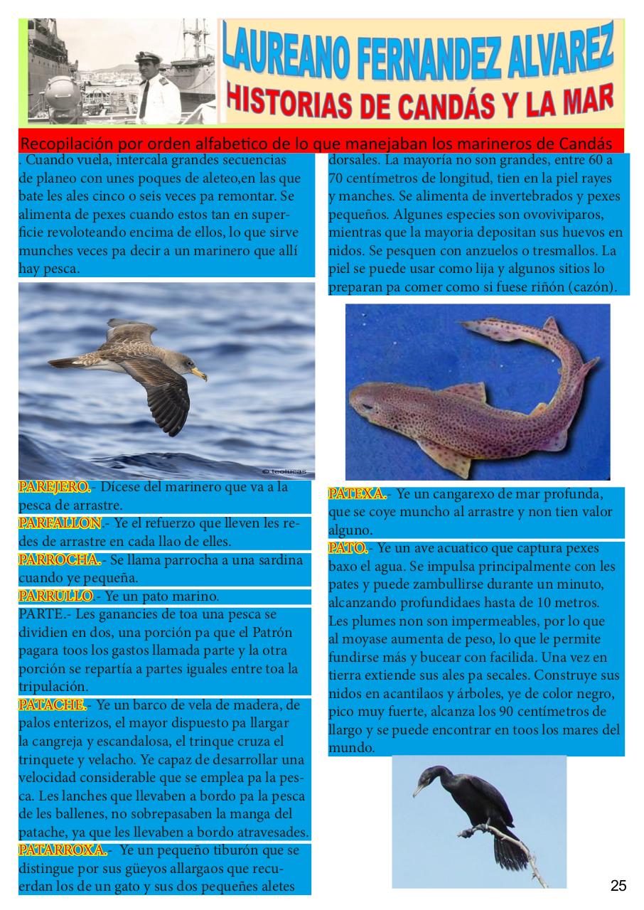 Vista previa del archivo PDF revista-numero-10-cands-en-la-memoria-junio-2019.pdf