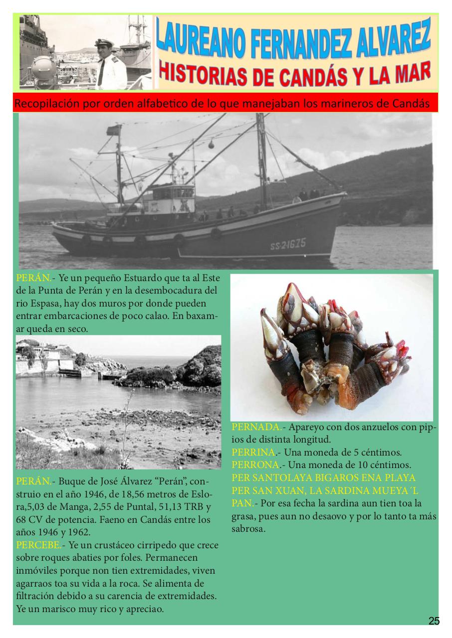 Vista previa del archivo PDF revista-numero-11-cands-en-la-memoria.pdf