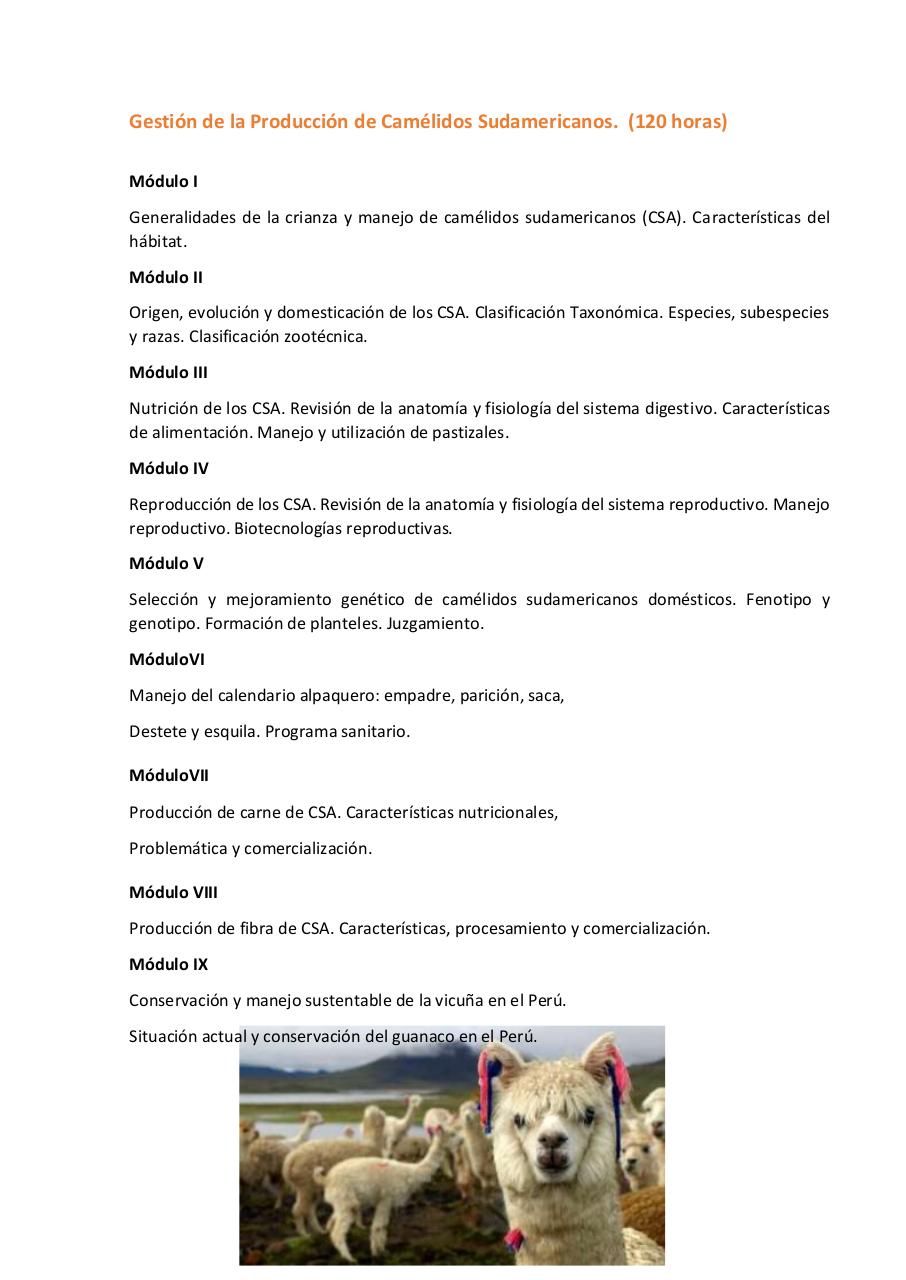 Vista previa del archivo PDF untitled-pdf-document.pdf