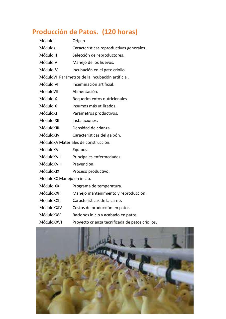 Vista previa del archivo PDF untitled-pdf-document.pdf