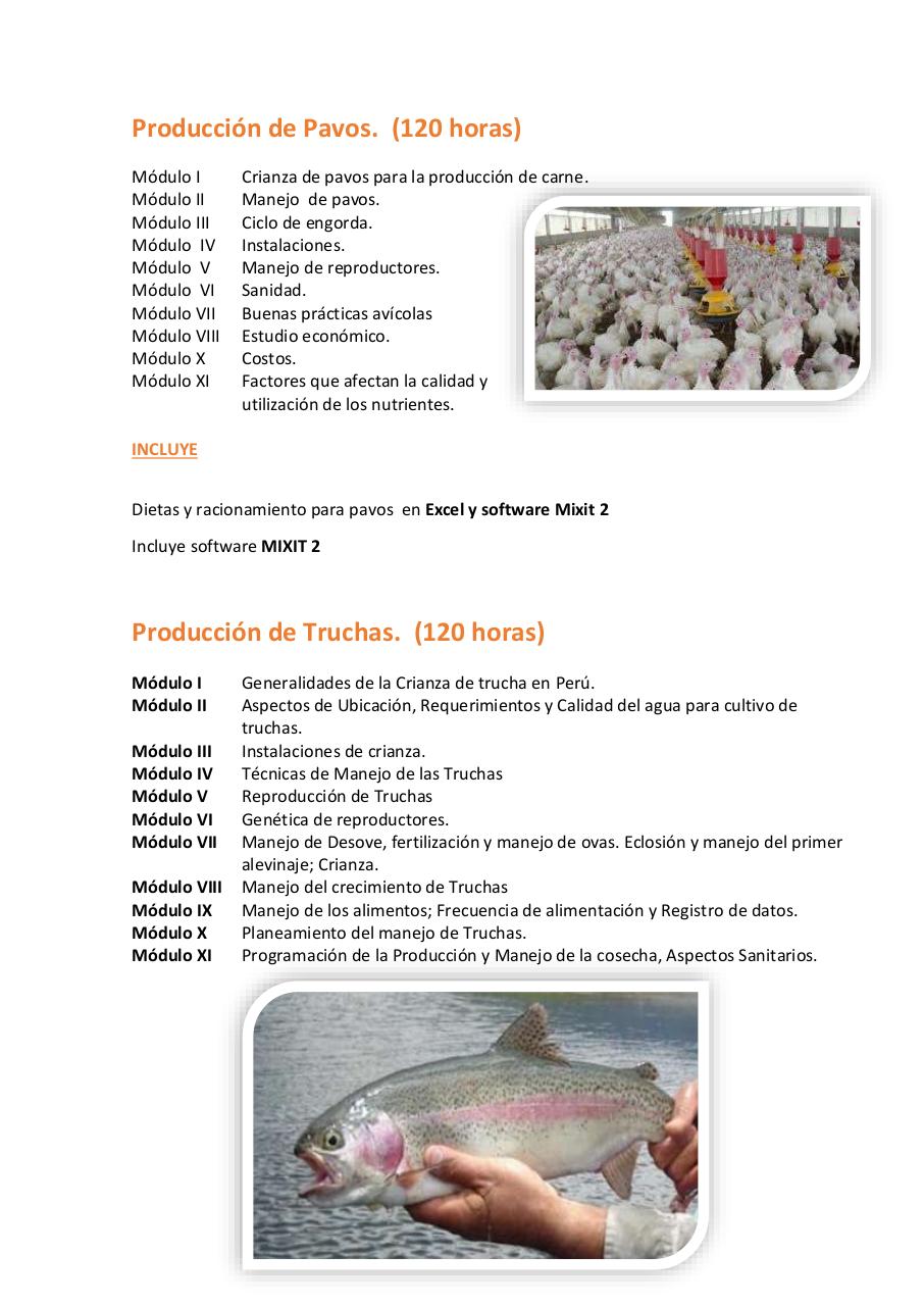 Vista previa del archivo PDF untitled-pdf-document.pdf