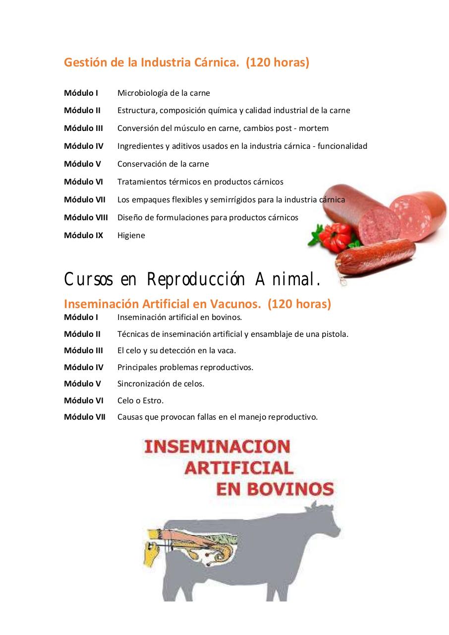 Vista previa del archivo PDF untitled-pdf-document.pdf