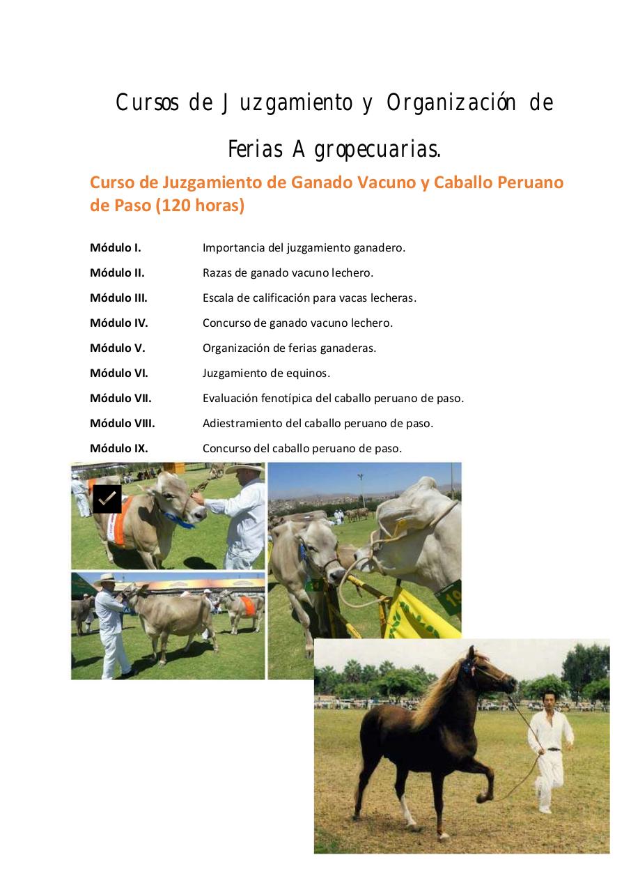 Vista previa del archivo PDF untitled-pdf-document.pdf