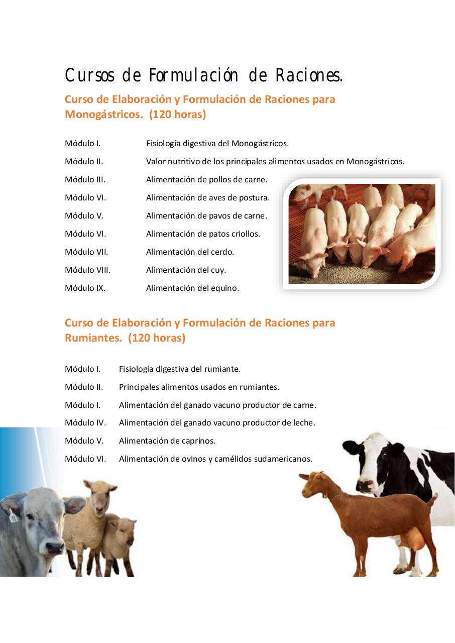 Vista previa del archivo PDF untitled-pdf-document.pdf