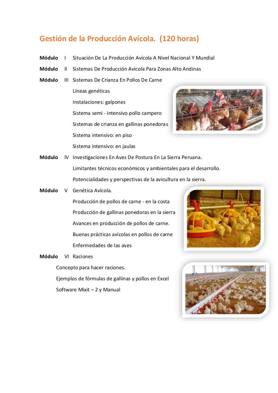 Vista previa del archivo PDF untitled-pdf-document.pdf