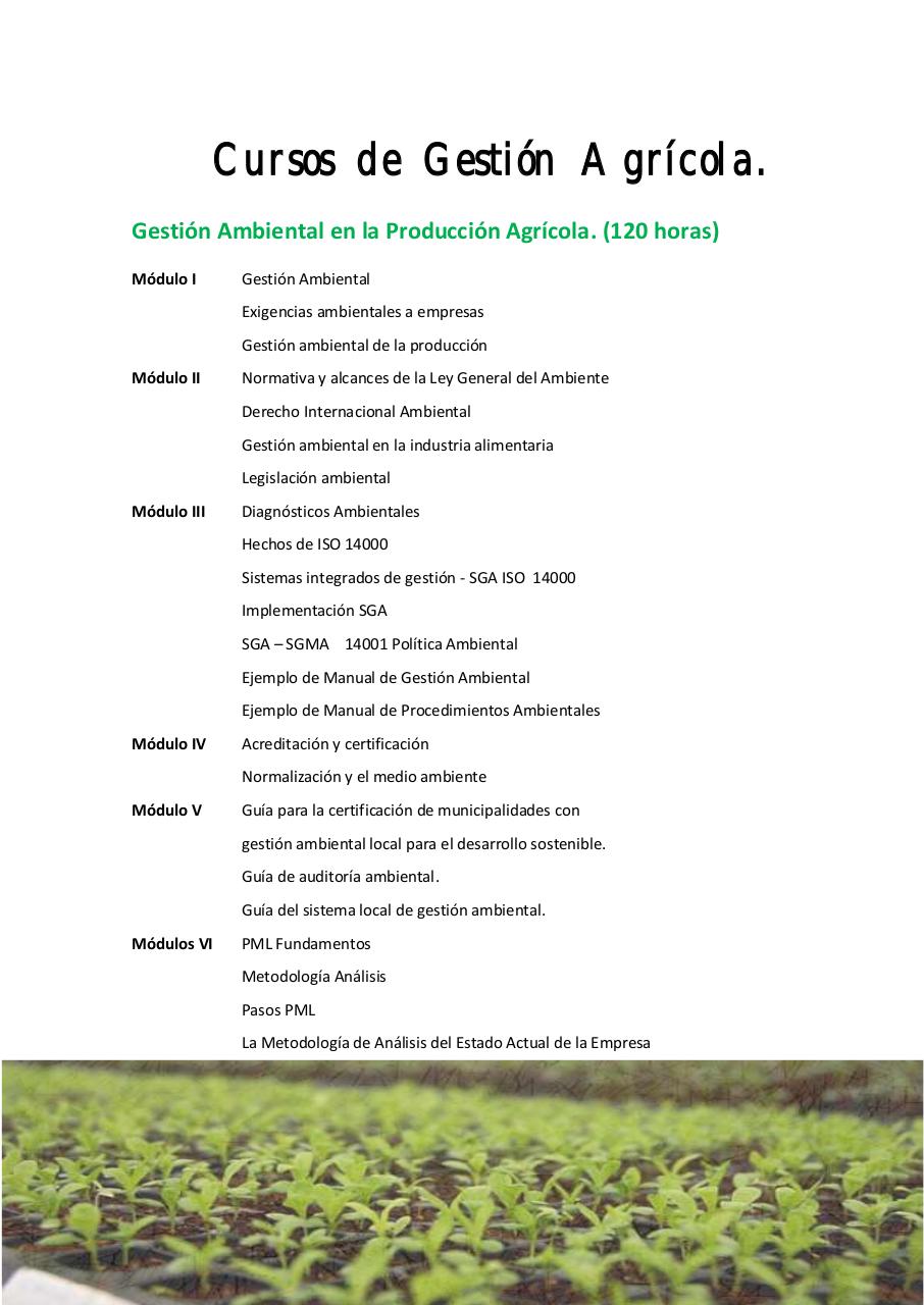 Vista previa del archivo PDF untitled-pdf-document.pdf