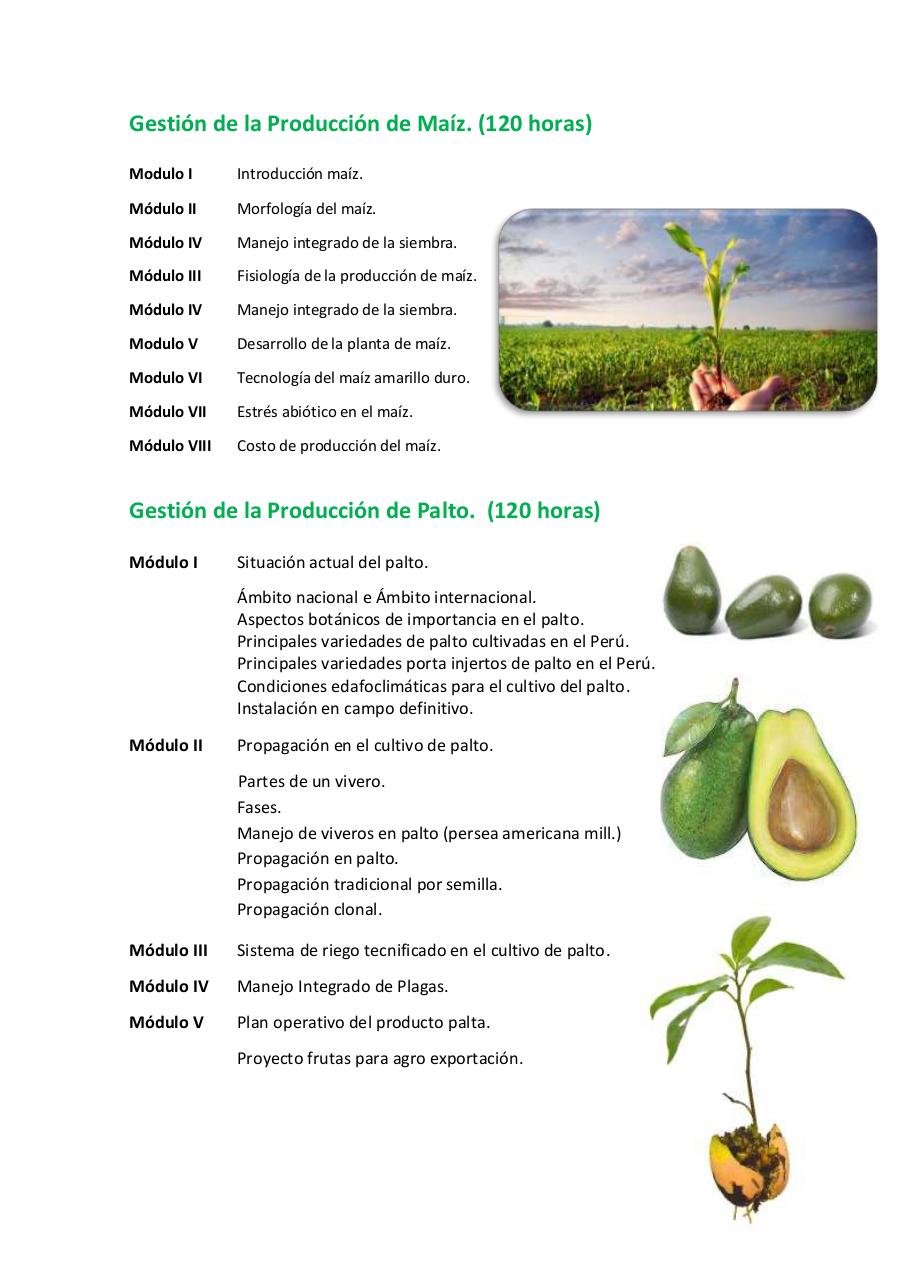 Vista previa del archivo PDF untitled-pdf-document.pdf