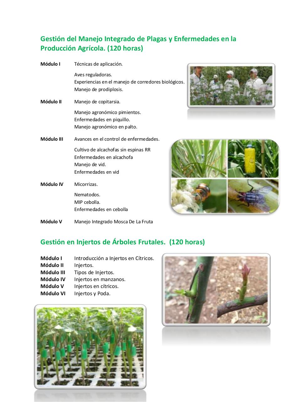 Vista previa del archivo PDF untitled-pdf-document.pdf