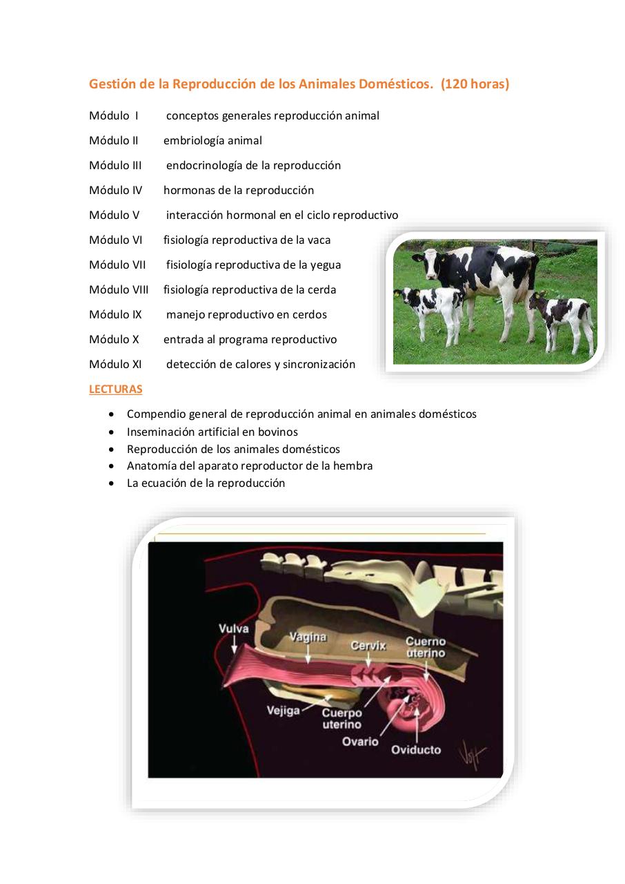 Vista previa del archivo PDF untitled-pdf-document.pdf