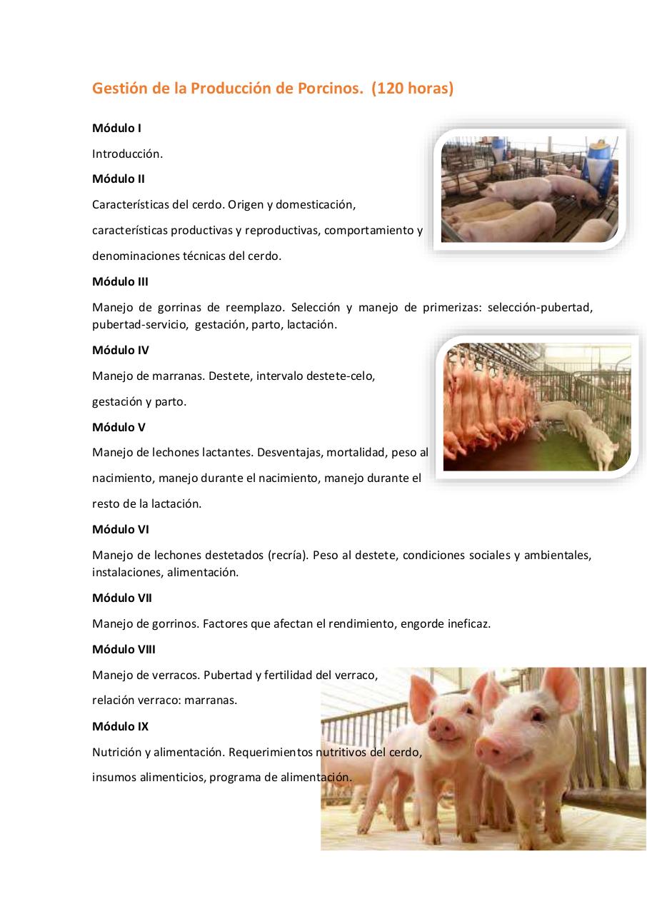 Vista previa del archivo PDF untitled-pdf-document.pdf