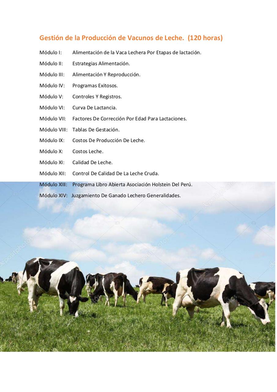 Vista previa del archivo PDF untitled-pdf-document.pdf