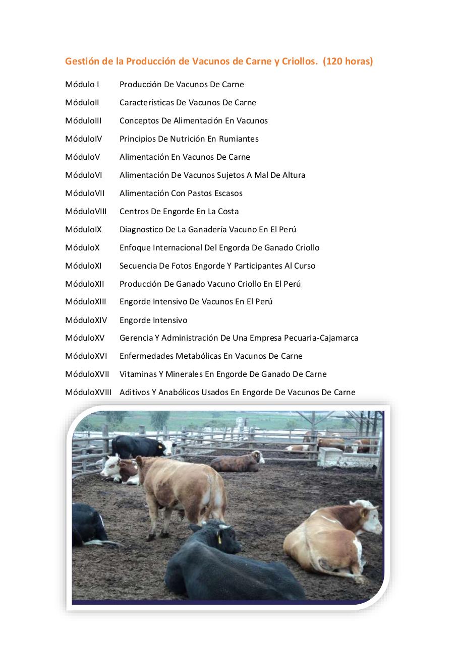 Vista previa del archivo PDF untitled-pdf-document.pdf