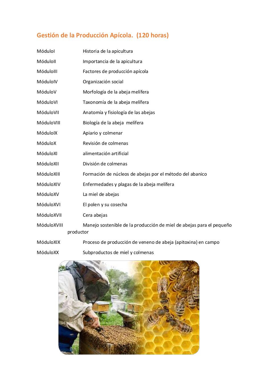 Vista previa del archivo PDF untitled-pdf-document.pdf