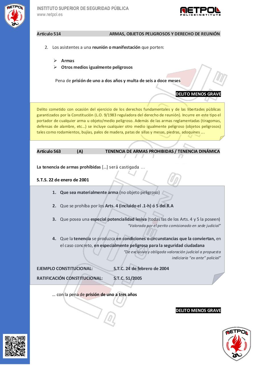 Vista previa del archivo PDF guia-rapida-actualizada-netpol.pdf