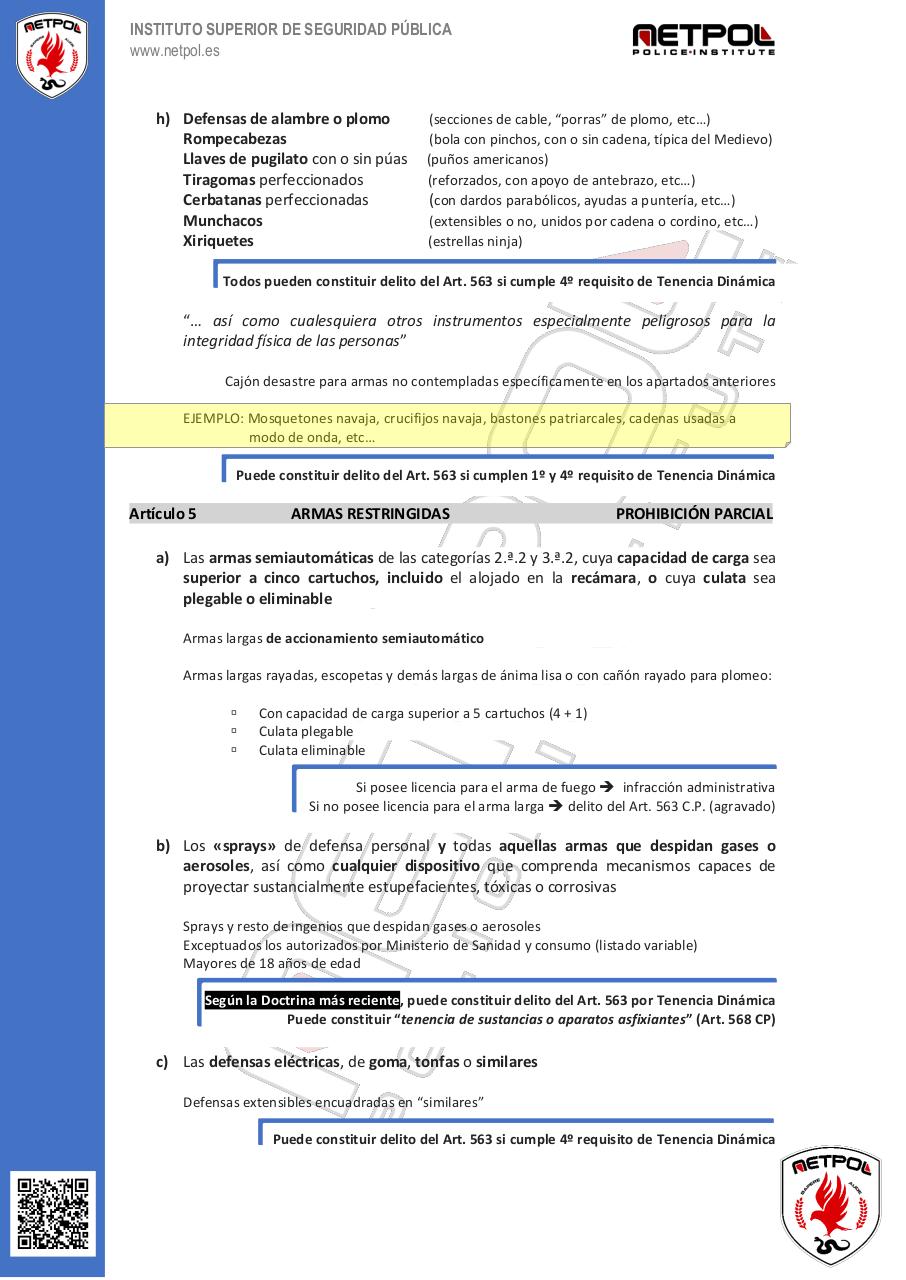 Vista previa del archivo PDF guia-rapida-actualizada-netpol.pdf